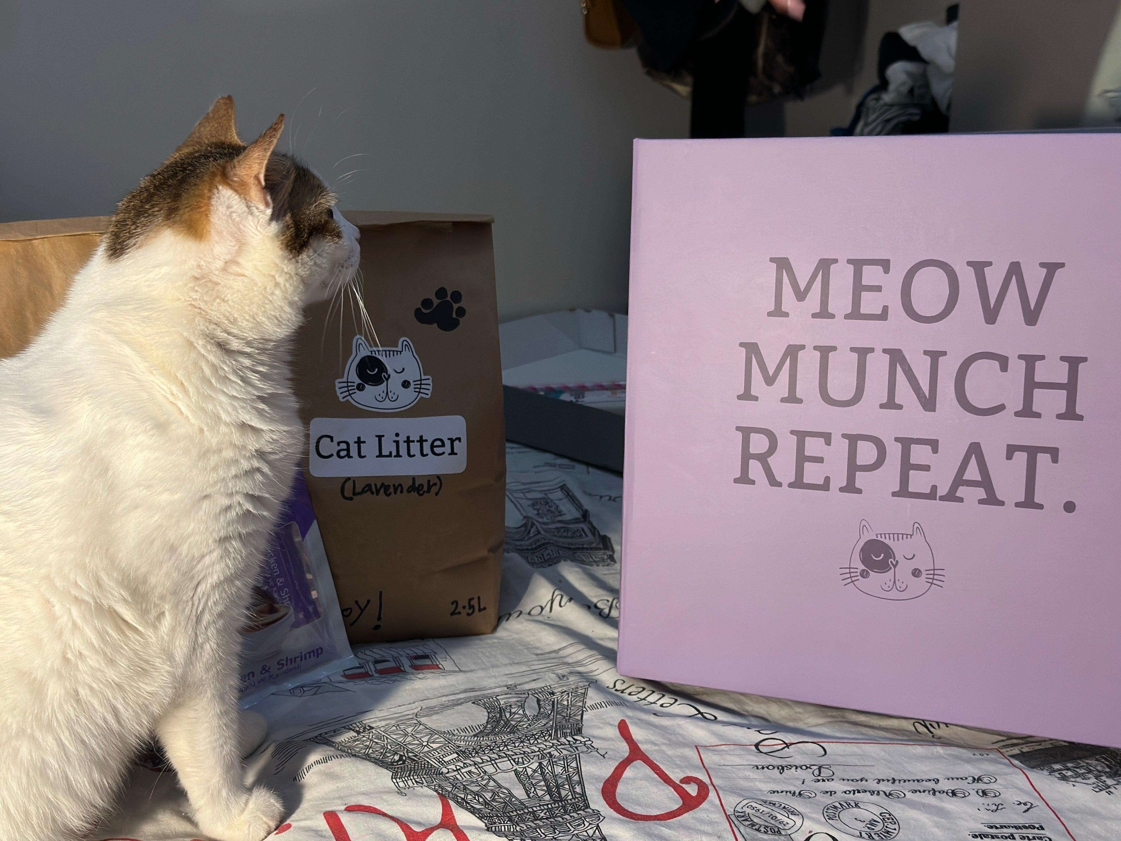 MeowLux Box