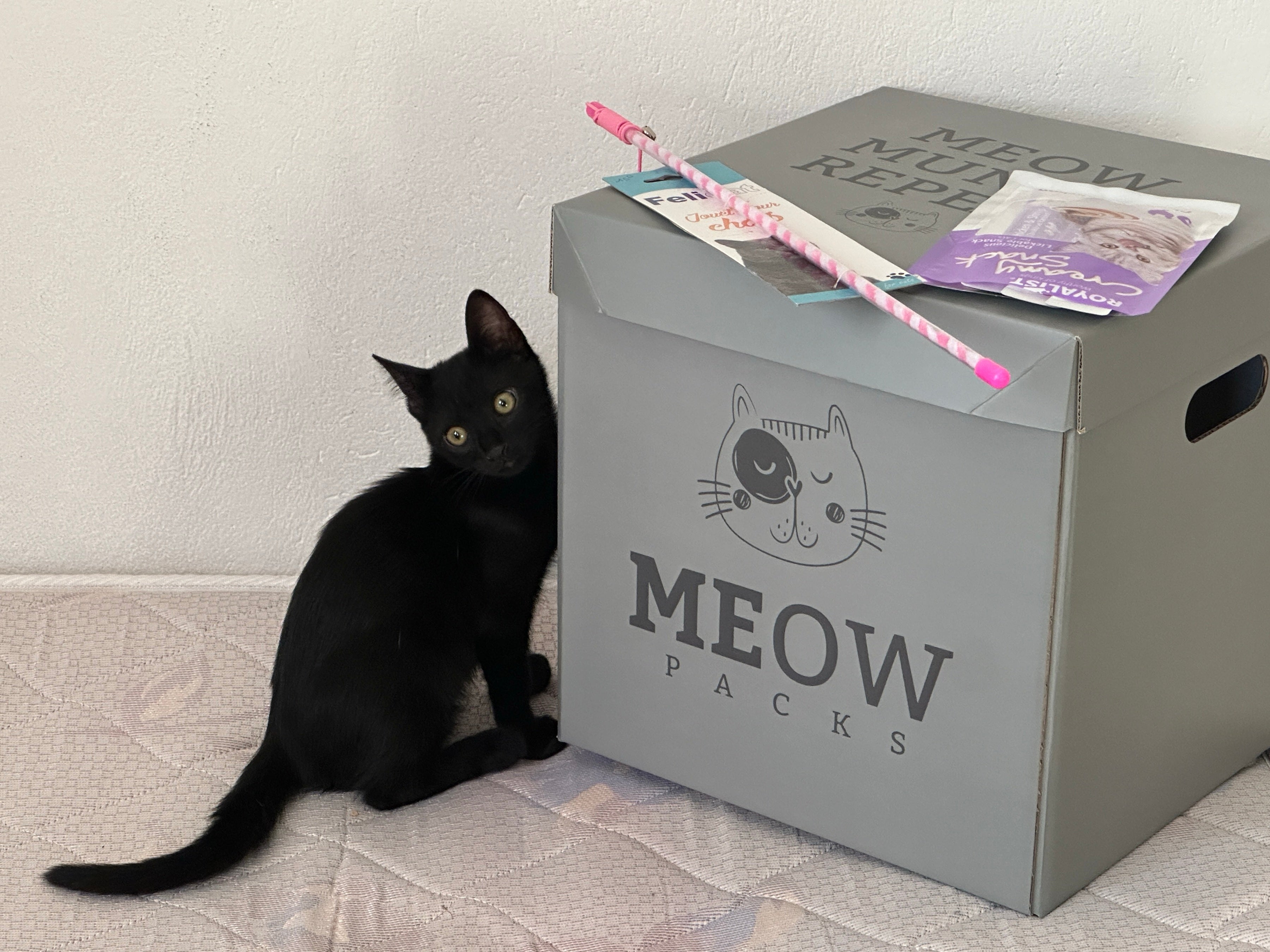 MeowSaver Box