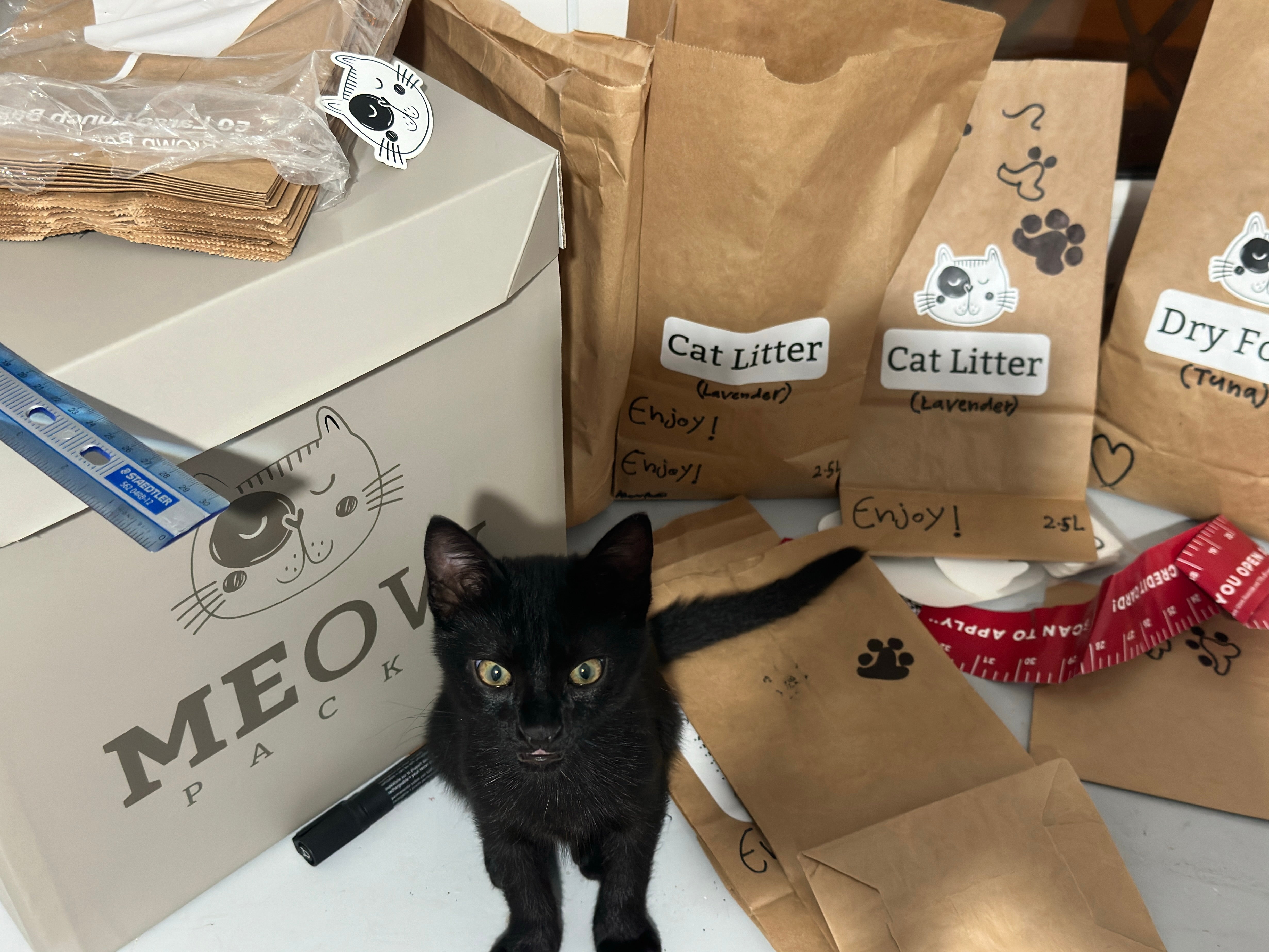 MeowPack Subscription Box