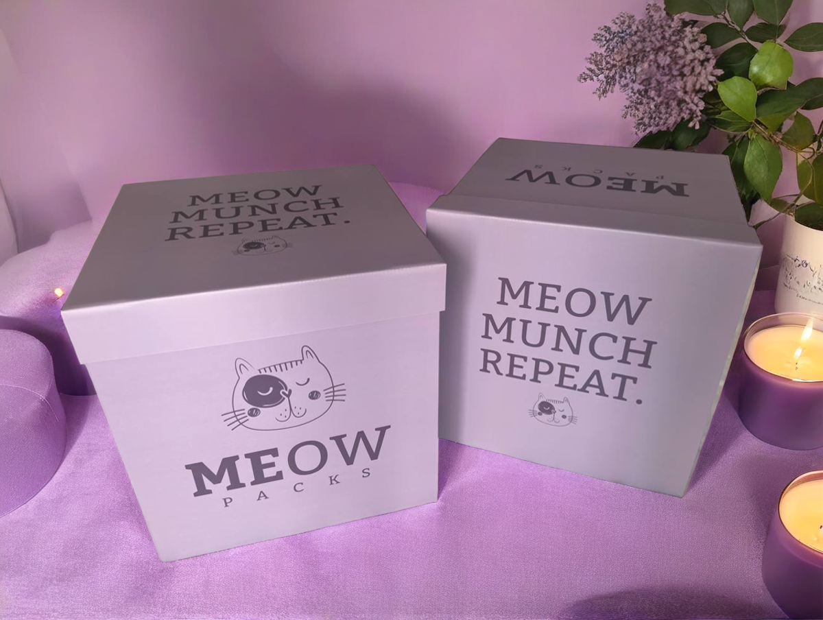 MeowLux Box