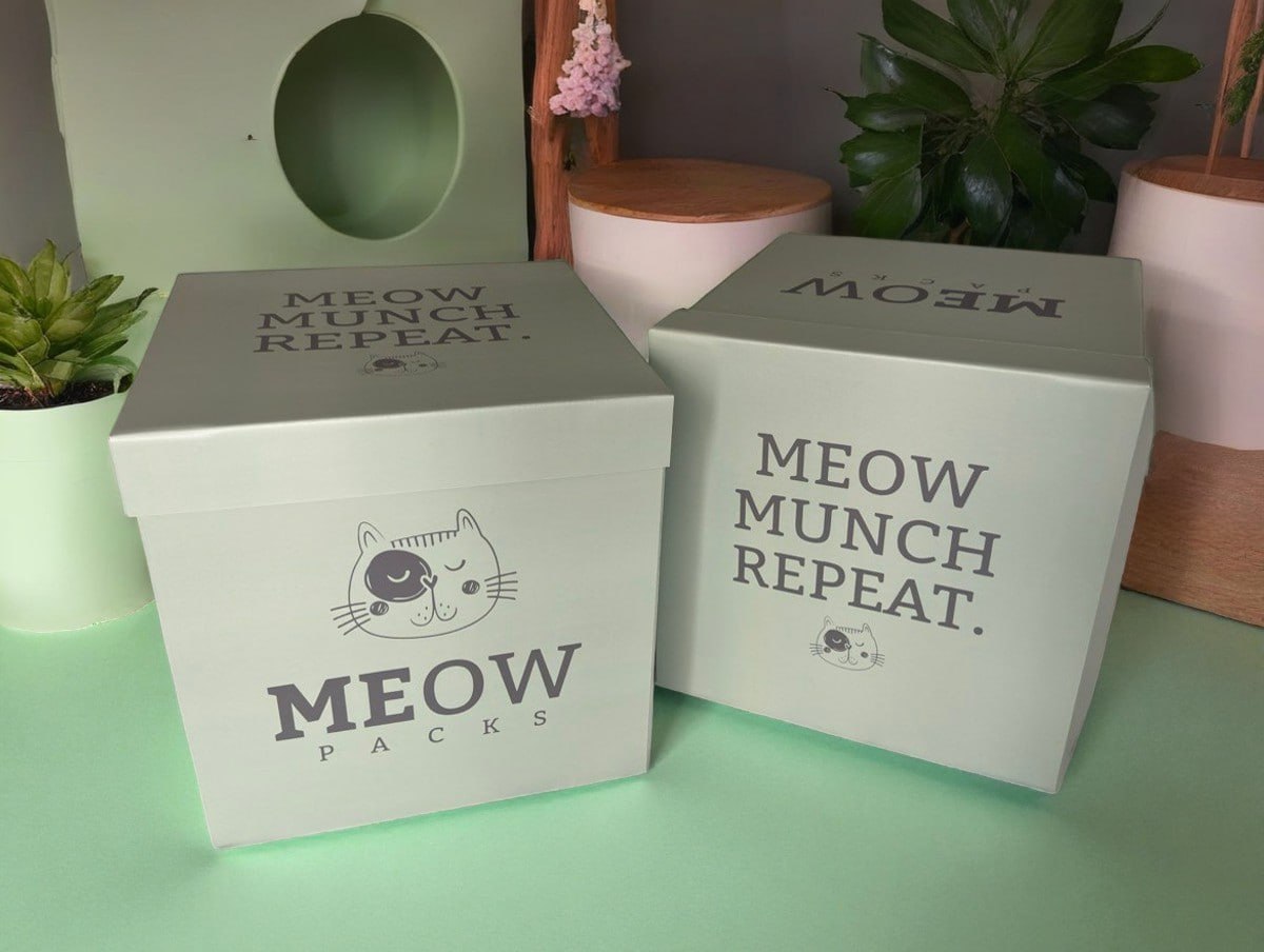 MeowSaver Box