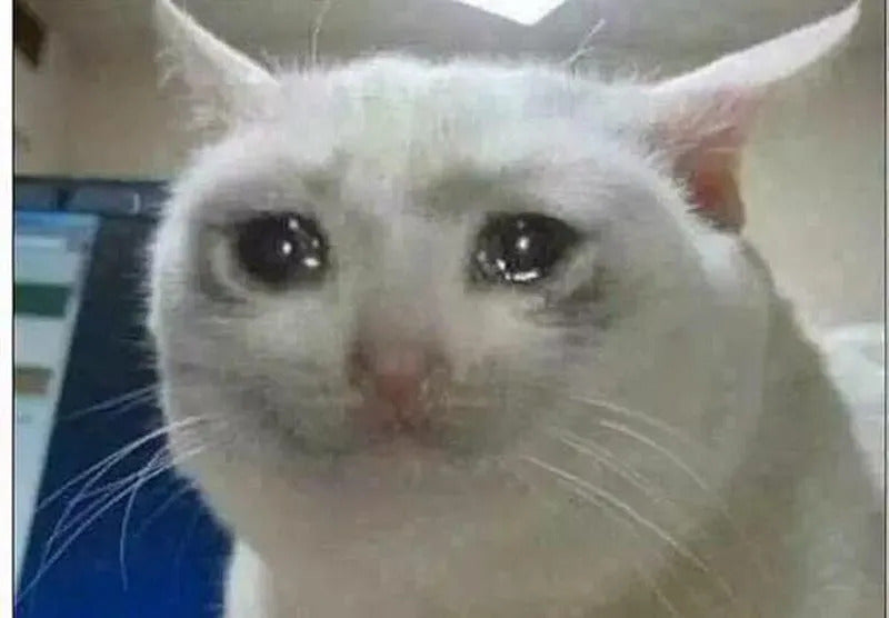 Sad without MeowSaver